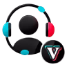 VIP Support & Strategy Guidance